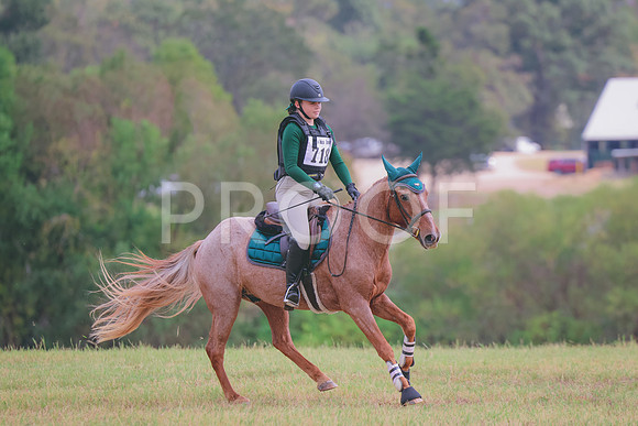 861A0085