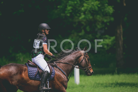 RWP_3884