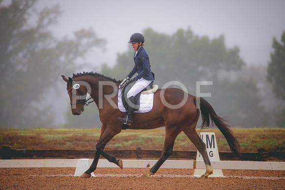 RWP_1142