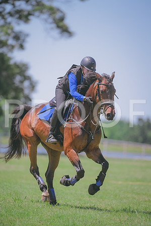 _DSC0474