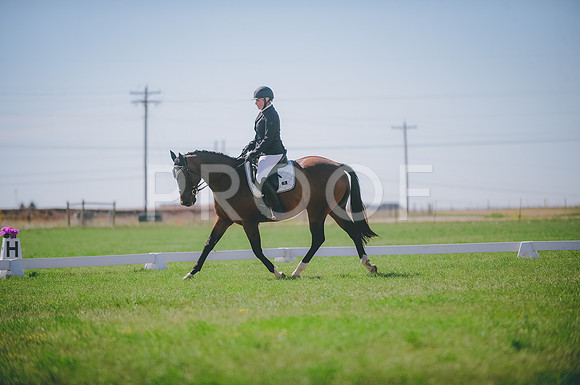 JJS_2364