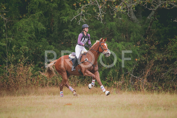 RWP_2733