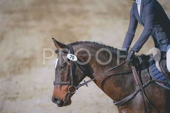 JJS_5348