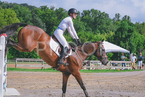 DSC_0361