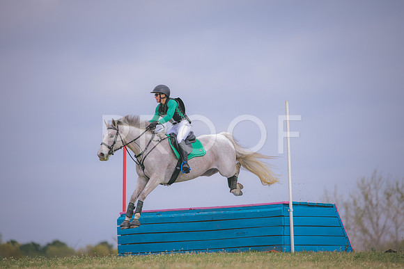 RWP_8671