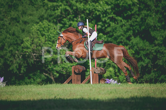 RWP_3484