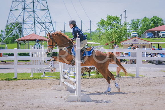 DSC_7011