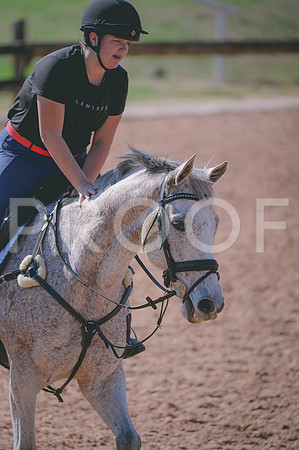 JJS_8034