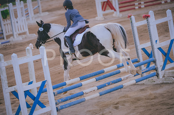 JJS_4243