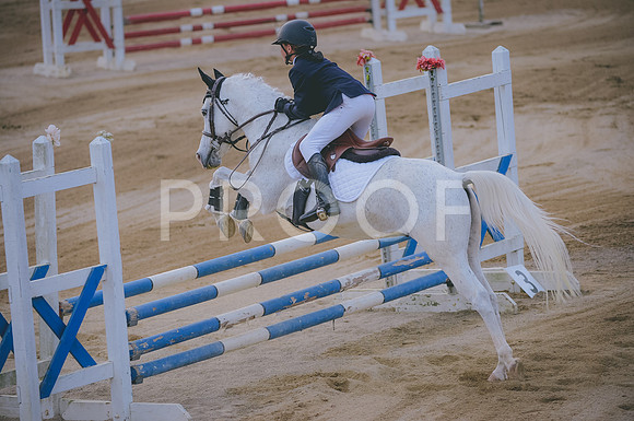 JJS_2815