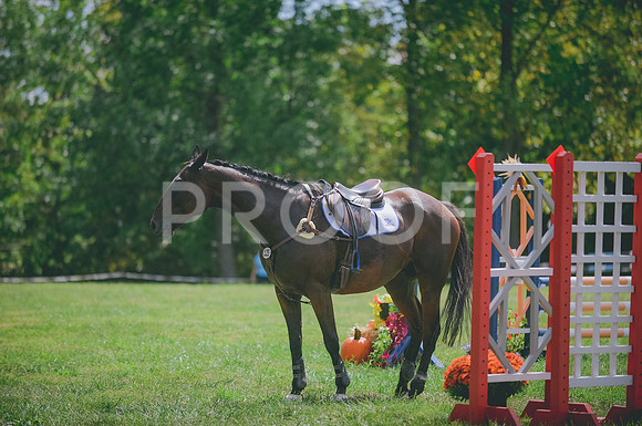 JJS_2347