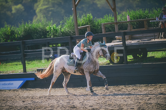 JJS_8208