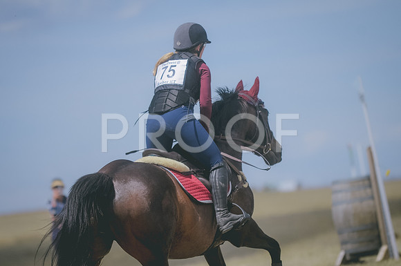 000_2955