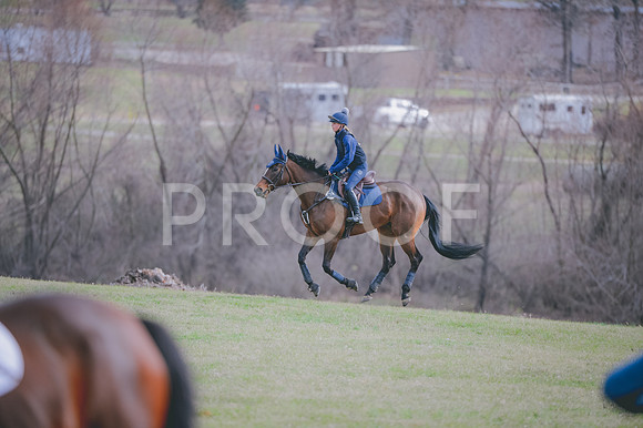 JJS_0560
