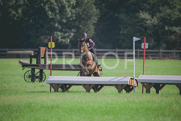 RWP_6328