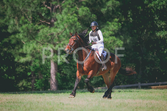 RWP_1245