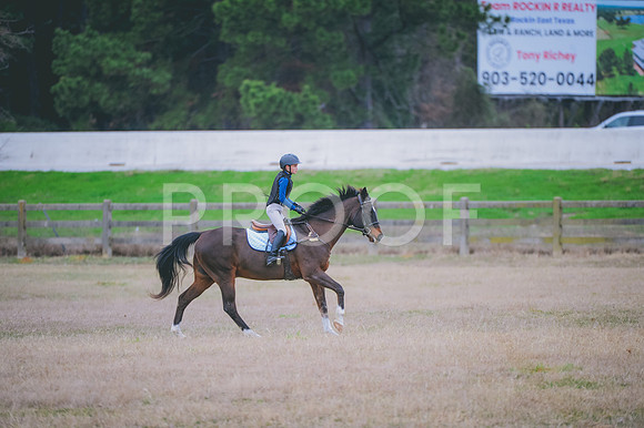 JJS_4018
