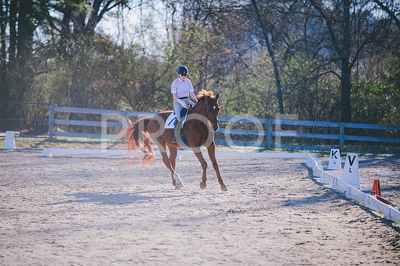 JJS_6270