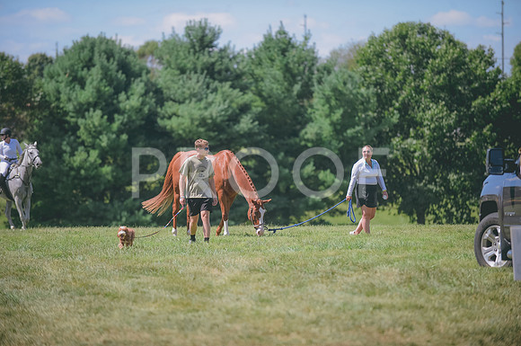 JJS_0163