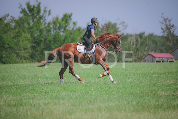 RWP_6490