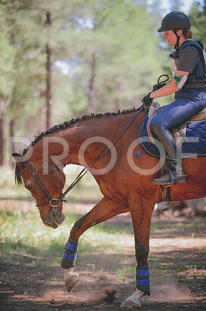 JJS_3484