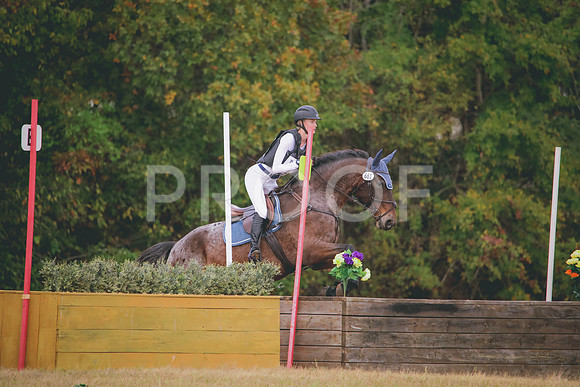 RWP_3284