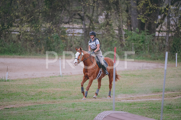 JJS_1693