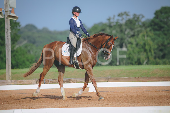 RWP_4442