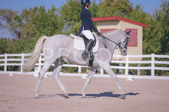 HLJ_9218