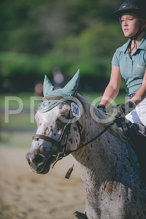 JJS_8152