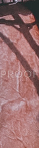 402A2949