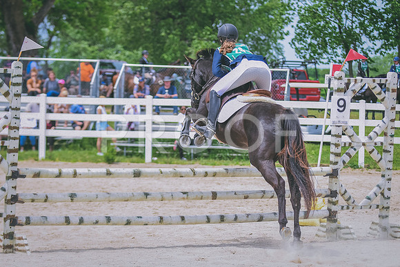 DSC_0413