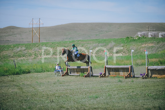 JJS_8002