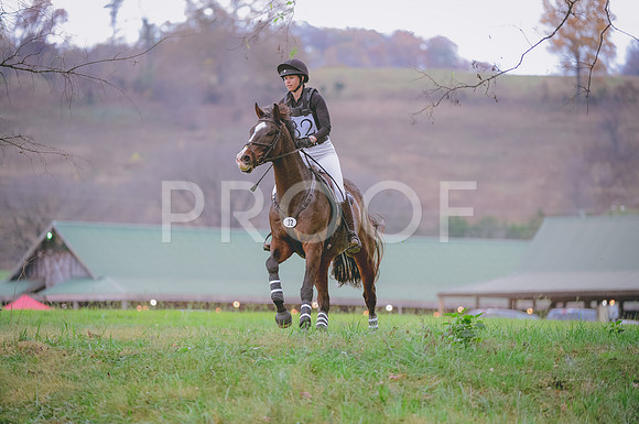 JJS_0797