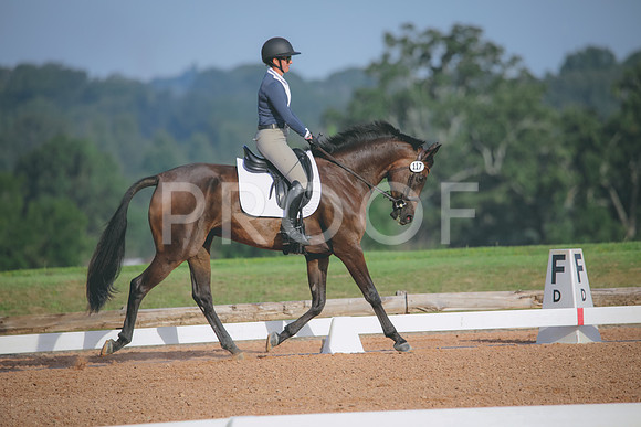 RWP_4388
