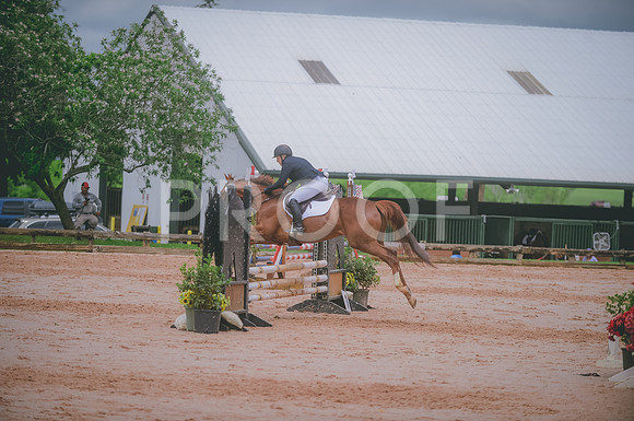000_3384 copy