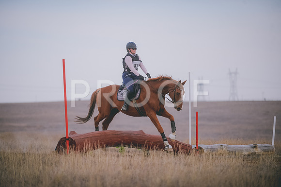 JJS_6148