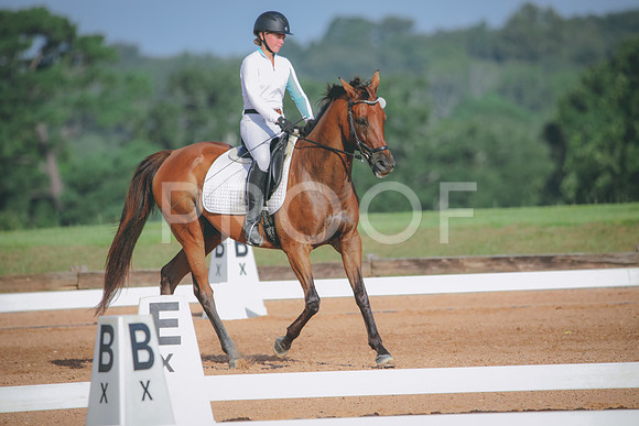 RWP_4482