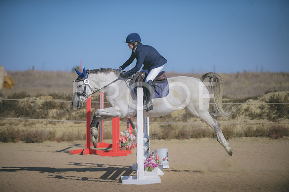 JJS_3866