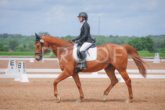 RWP_4561