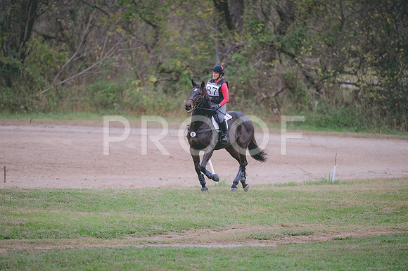 JJS_1717