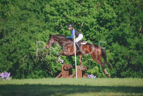 RWP_2613
