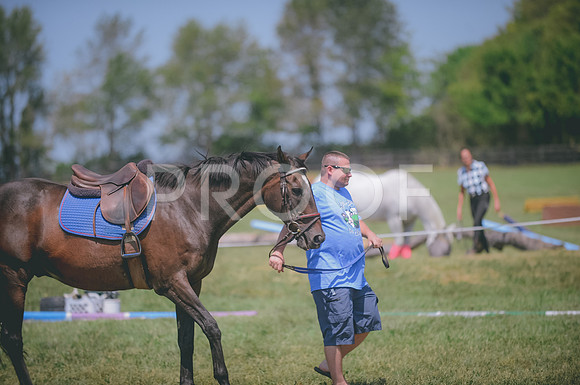 JJS_4730