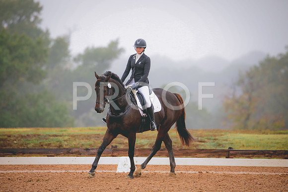 RWP_1181
