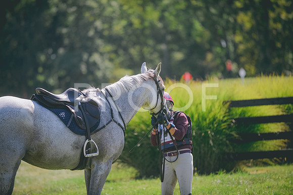 JJS_5278