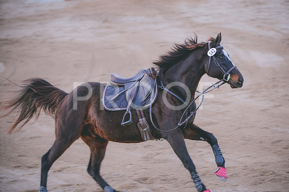 JJS_3821