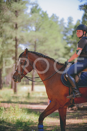 JJS_3462A