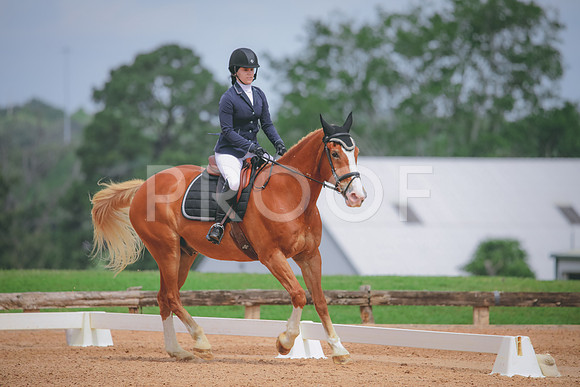 RWP_4218