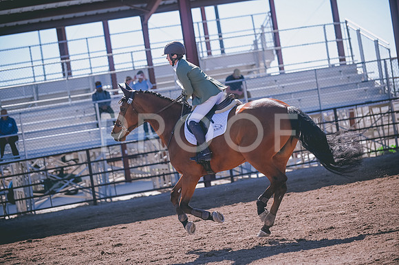 DSC_1785A