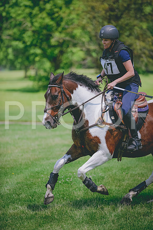 JJS_7073